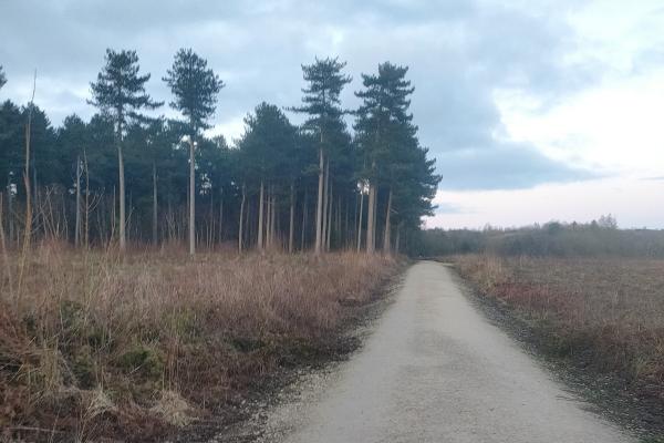 A picture taken by Kate, a path leading into Sherwood forest with some son on the horizon
