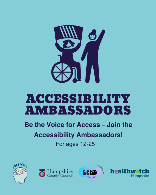 Graphic for Accessibility Ambassadors with partner logos.